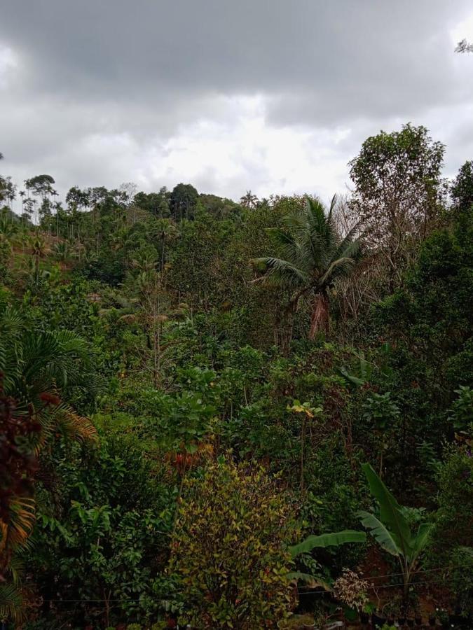 Maliyeckal Homestay Munnar Exterior foto