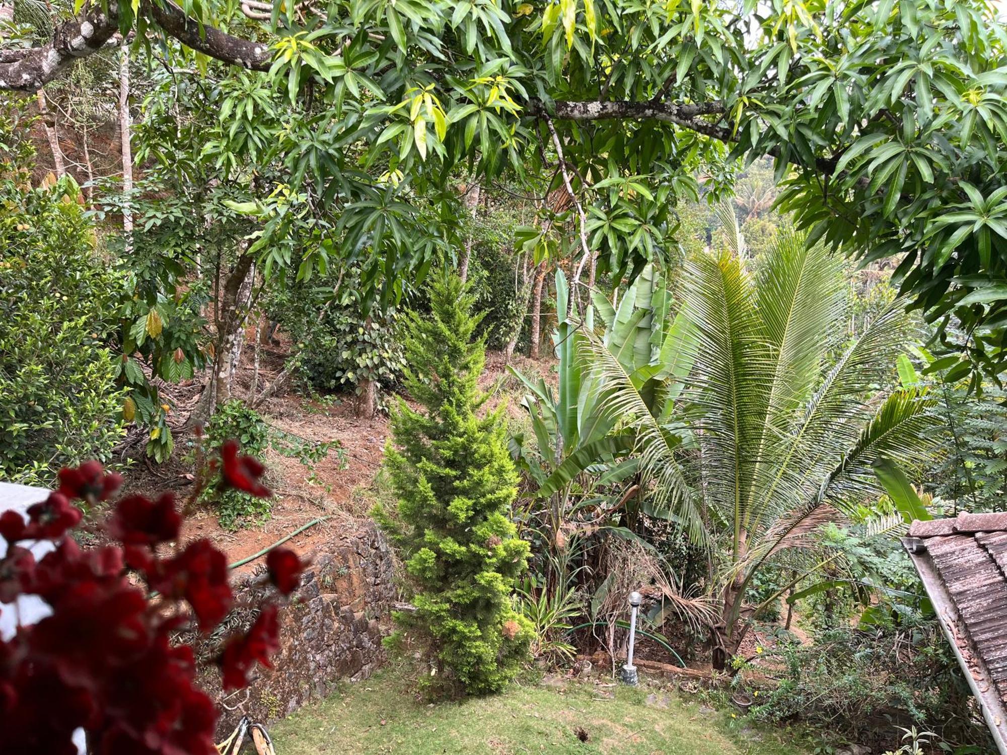 Maliyeckal Homestay Munnar Exterior foto